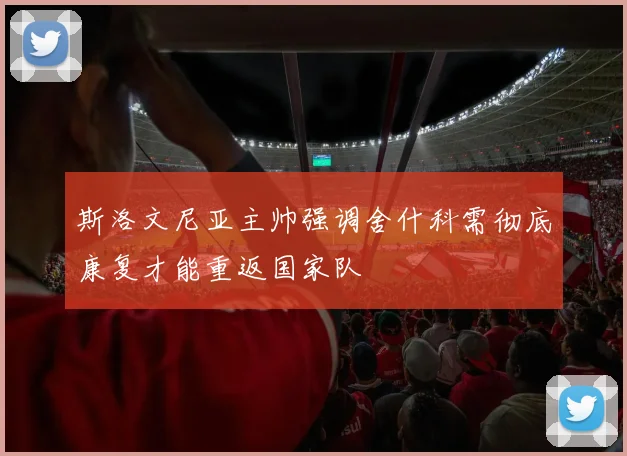 斯洛文尼亚主帅强调舍什科需彻底康复才能重返国家队